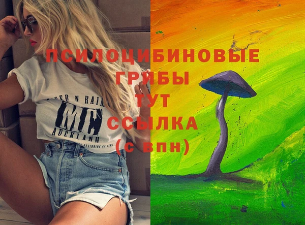 МДПВ Беломорск